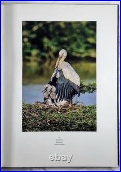 Animal Verses SIGNED FIRST EDITION by Lalith Ekanayake 2013 Hardcover