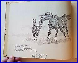 Black Beauty by Paul Brown, Charles Scribner's, 1952, 1st Edition, SIGNED