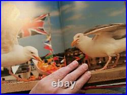 Martin Parr Think of England HB First Edition RARE