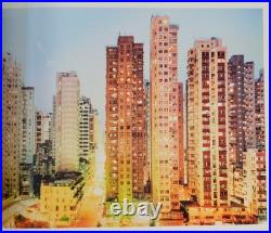 Peter BIALOBRZESKI, Florian Hanig / NEON TIGERS Signed First Edition #203359