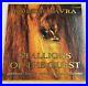 Stallions of the Quest by Robert Vavra First Edition Signed by the Author